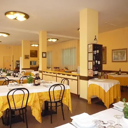 Stella D'italia Viareggio