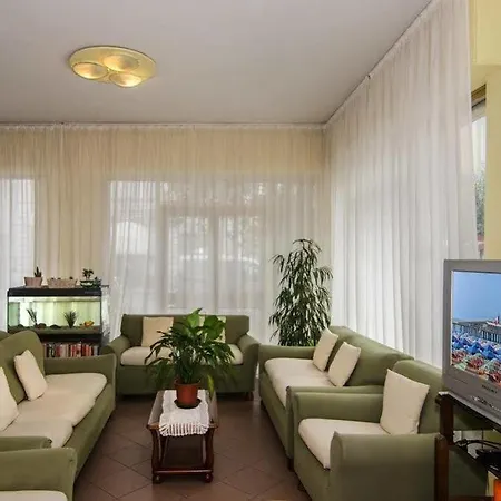 Stella D'italia Viareggio