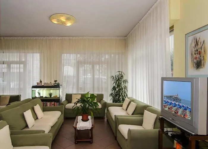 Stella D'italia Viareggio