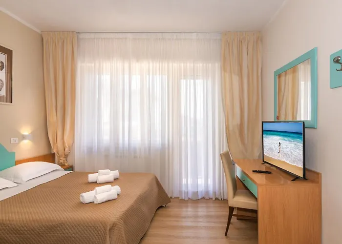 Stella D'italia Viareggio